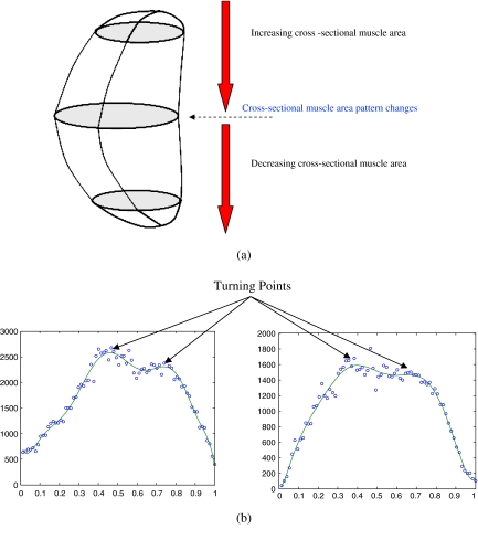 Fig 3