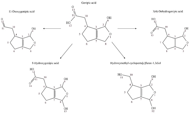 Figure 7