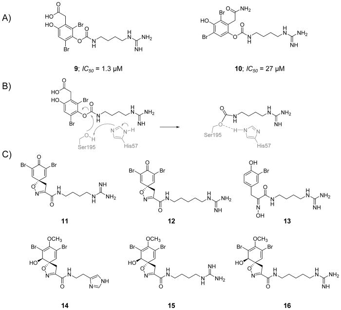 Figure 6