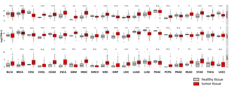 Figure 1—figure supplement 1.