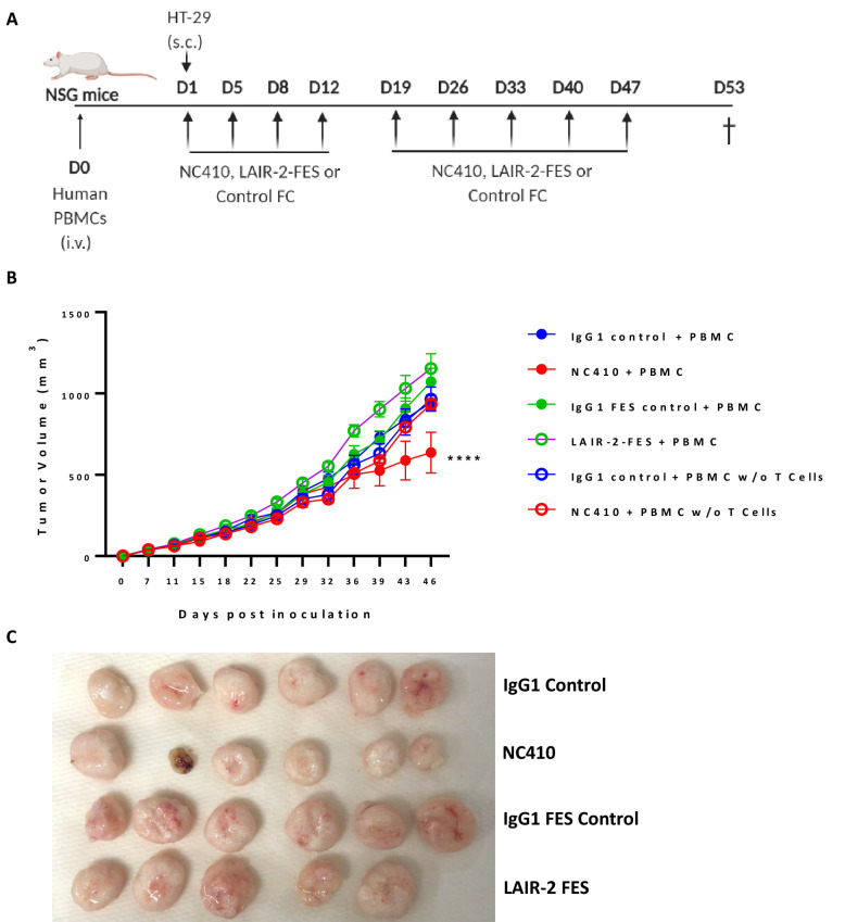 Figure 3—figure supplement 4.