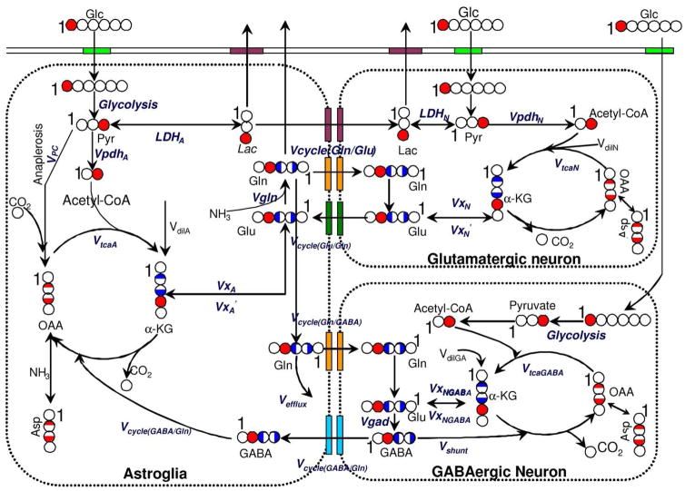 Fig. 1