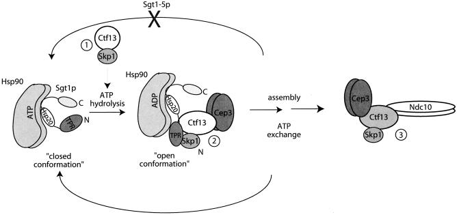 FIG. 6.