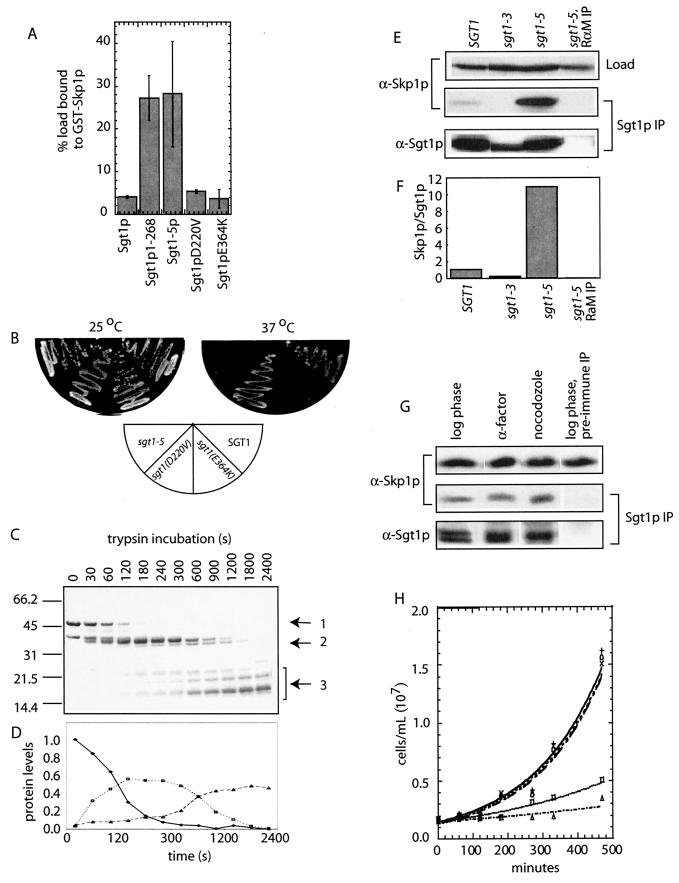 FIG.2.