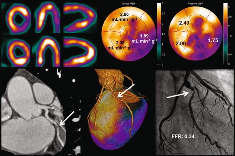 Fig. 5