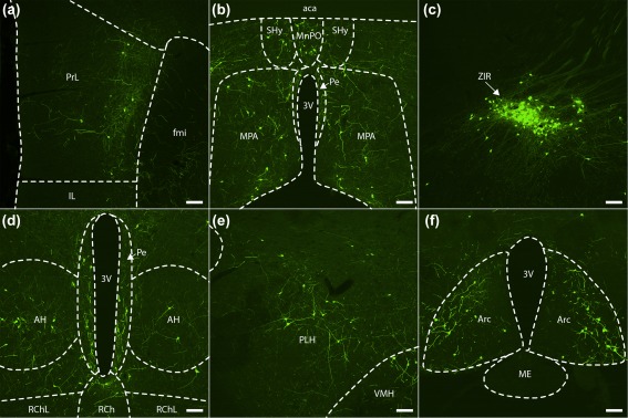 Figure 9