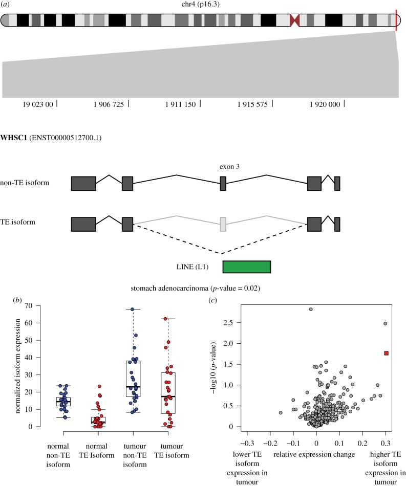 Figure 6.