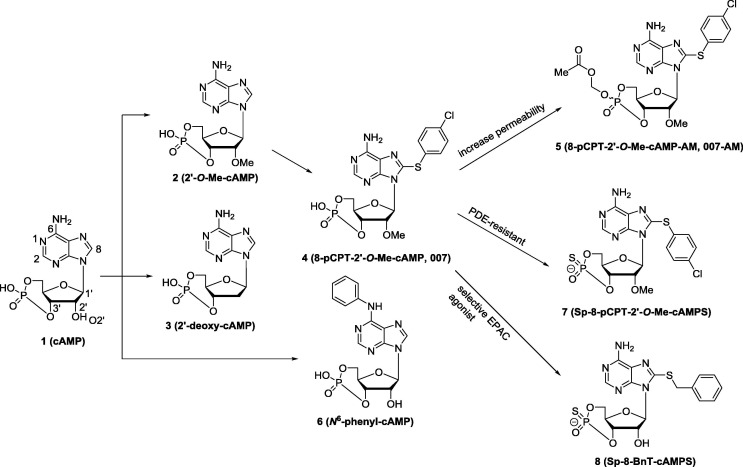 Fig. 2