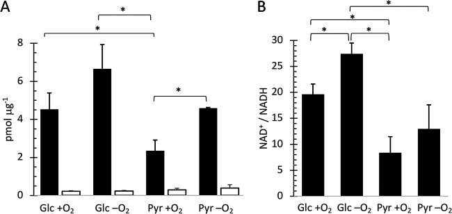 FIG 5