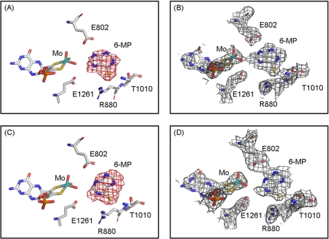 FIGURE 4.