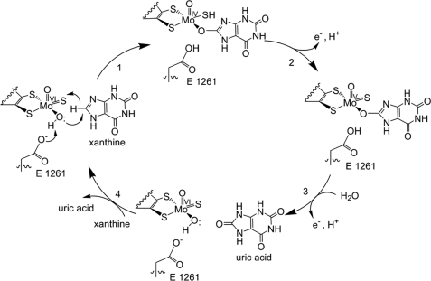 FIGURE 1.