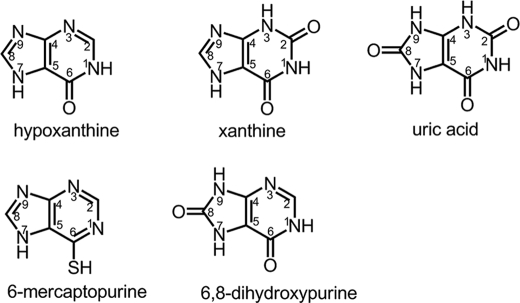 FIGURE 2.