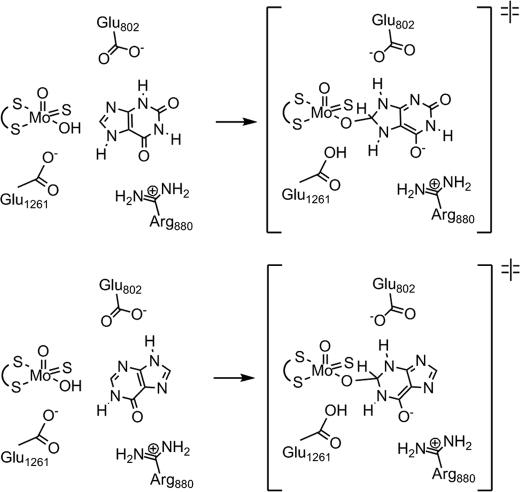 FIGURE 10.