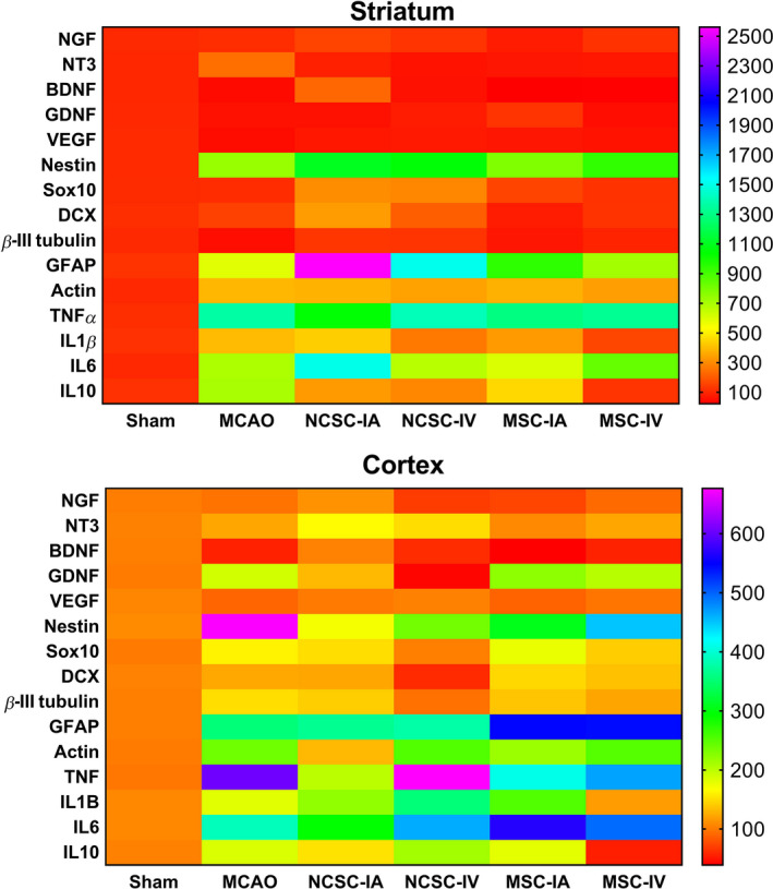 FIGURE 6