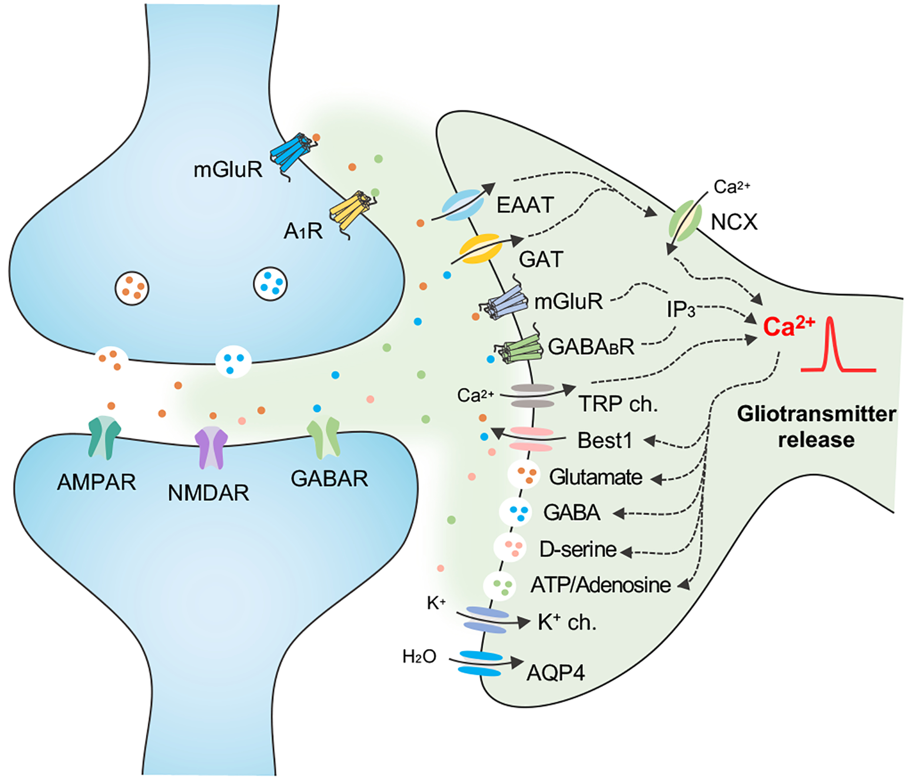 Figure 2.