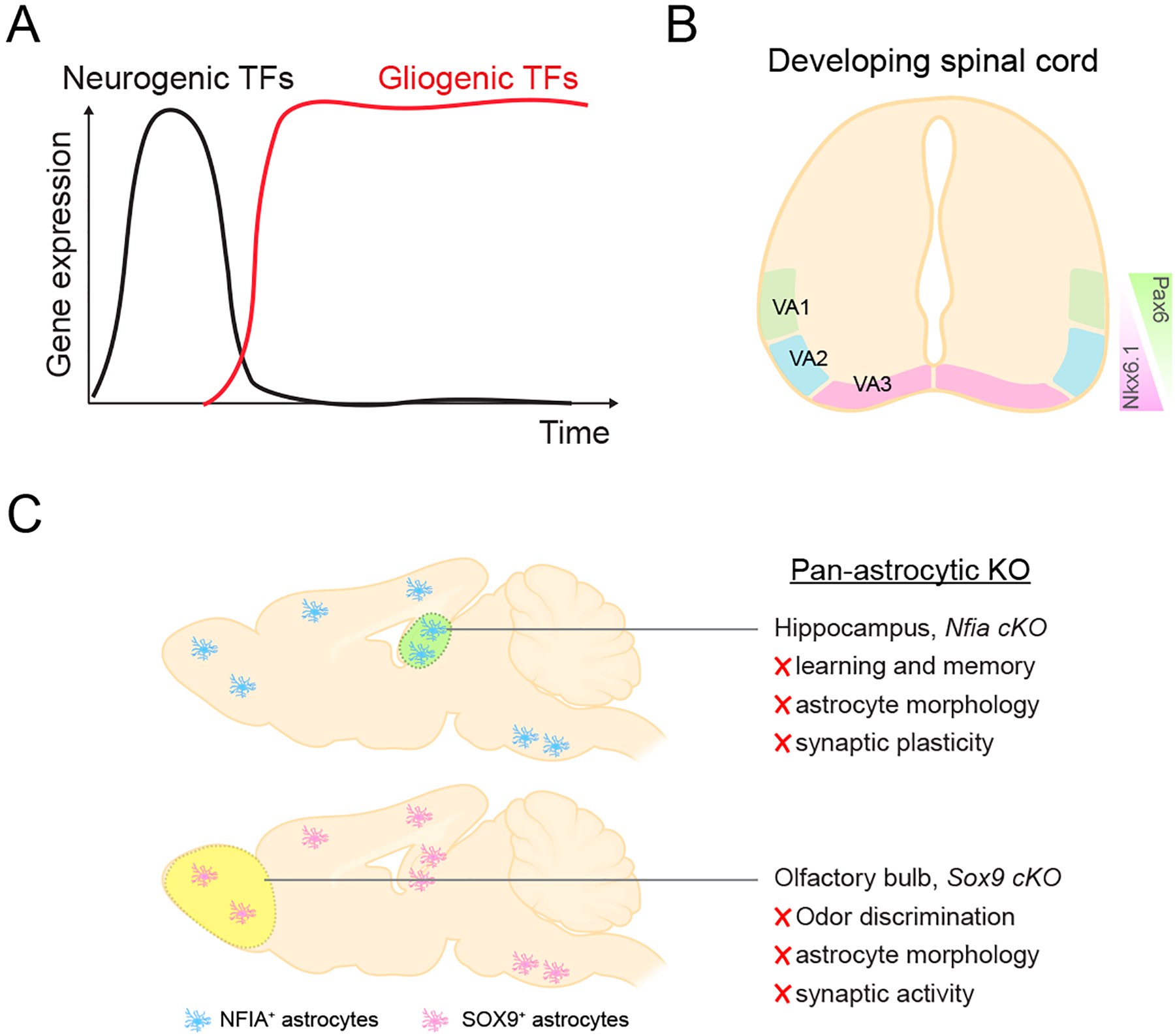 Figure 6.