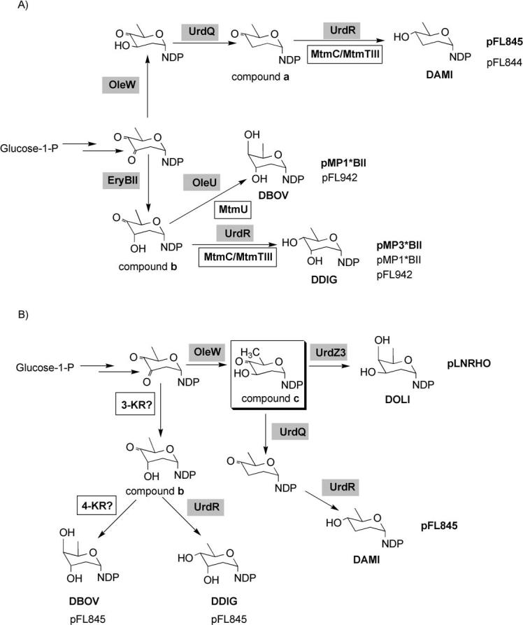 Scheme 2