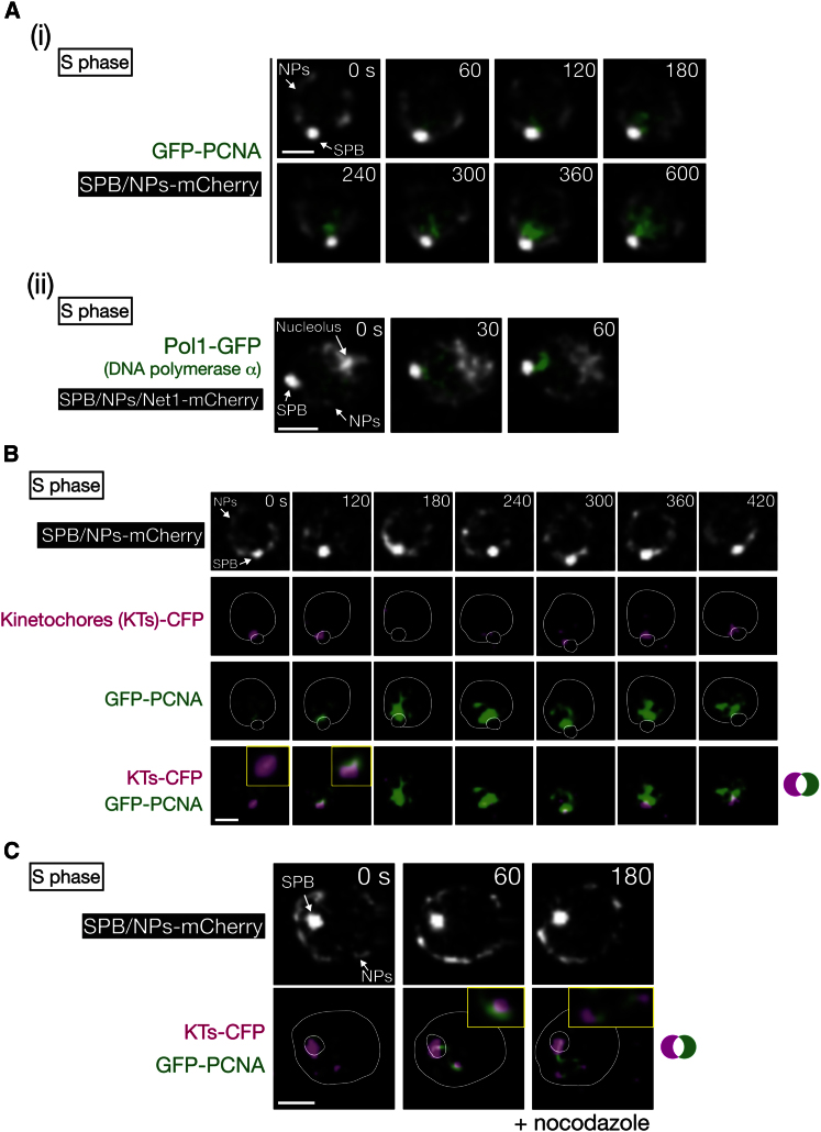 Figure 1