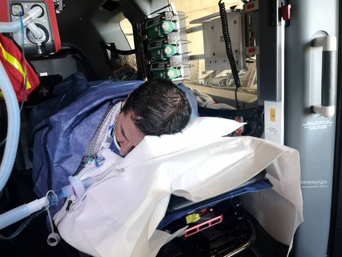 graphic file with name 10049_2020_798_Fig1_HTML.jpg