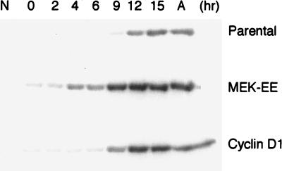 FIG. 6