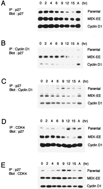 FIG. 7