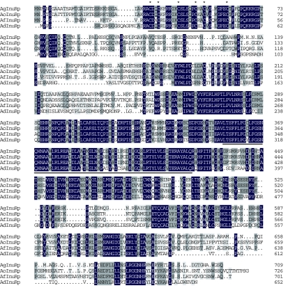 Fig. 2