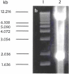 Fig. 3.