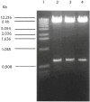 Fig. 5.