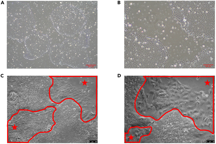 Figure 6