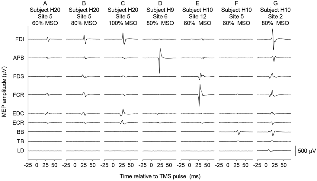 Figure 3: