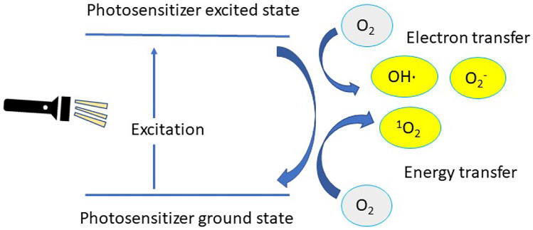 Fig. 14