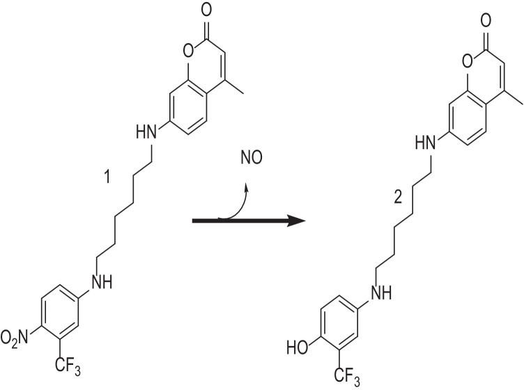 Fig. 11