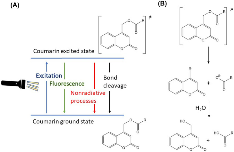 Fig. 9