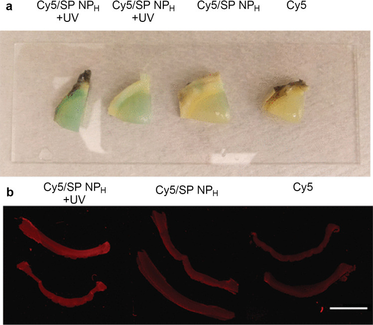 Fig. 6