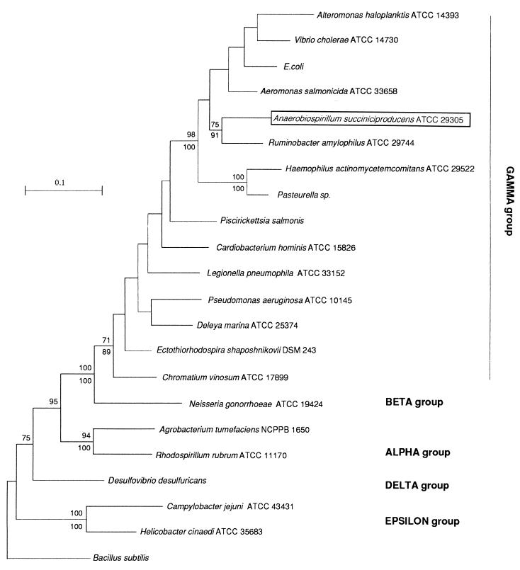 FIG. 3