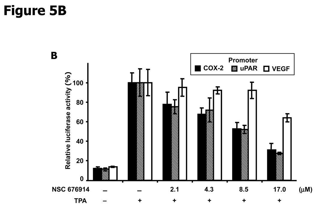 Figure 5