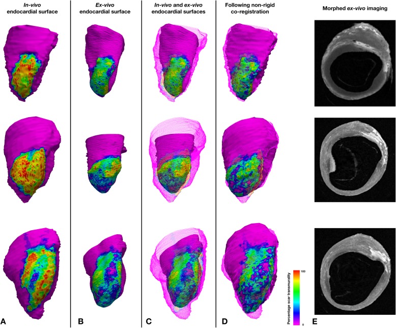 Fig. 6