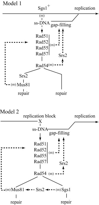 Fig 2.