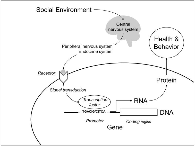 FIGURE 1