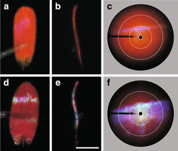 Fig. 3