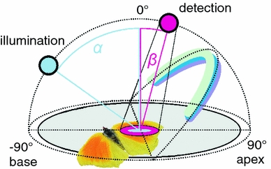 Fig. 1