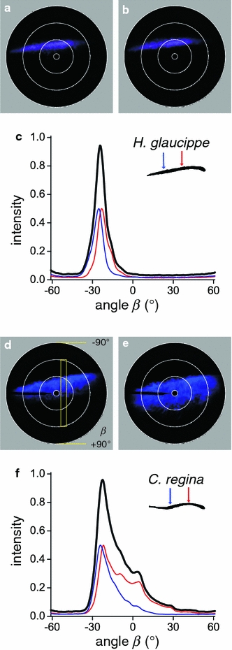 Fig. 4