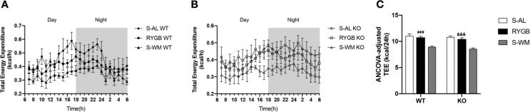 Figure 3