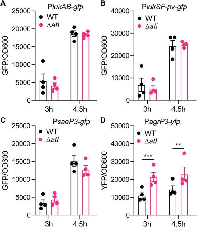 FIG 3