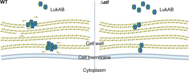 FIG 6