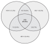 Figure 1)
