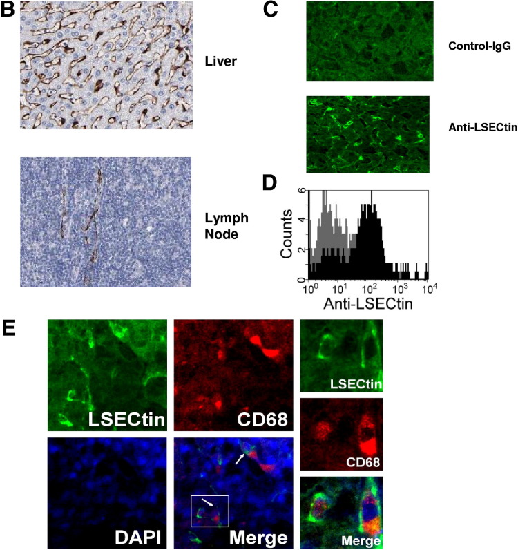 Supplementary Figure 1