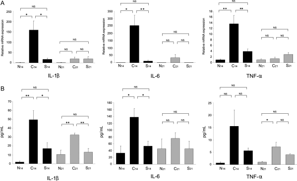 Figure 5