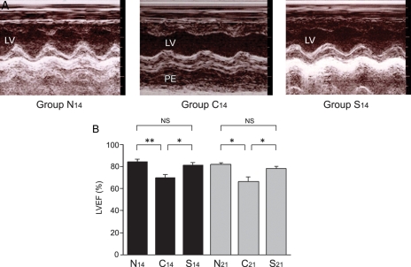 Figure 3