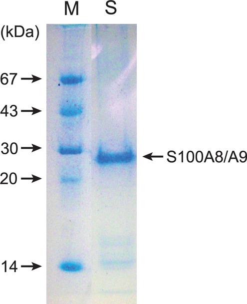 Figure 2